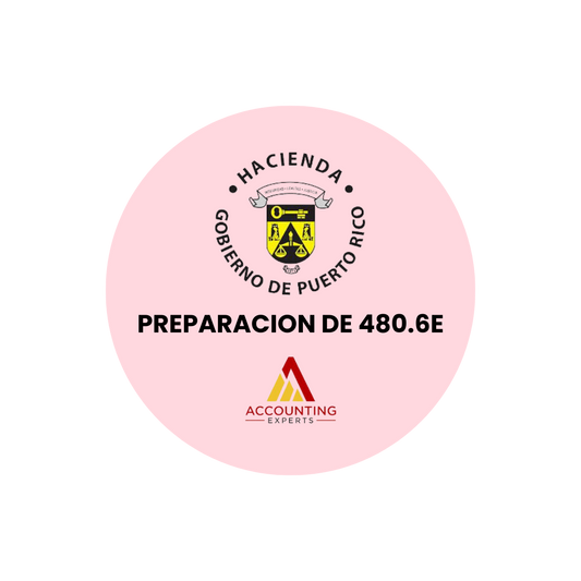 Preparación de Informativas de gastos 480.7E